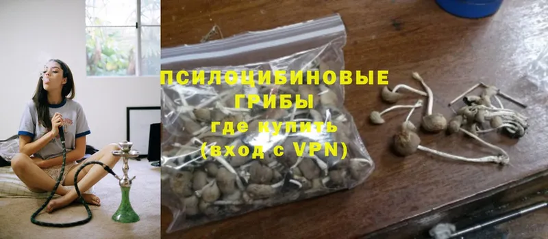 гидра ССЫЛКА  Макаров  Галлюциногенные грибы MAGIC MUSHROOMS  наркотики 